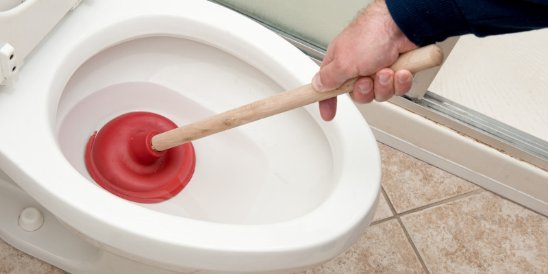 Clogged Toilet in Monroe Township, New Jersey